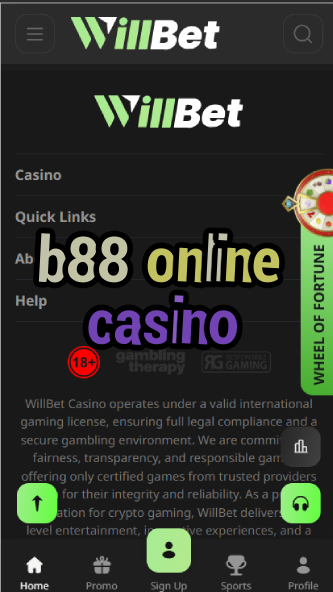 B88 Online Casino - Premium Asian Casino Platform-casinoorder.vip